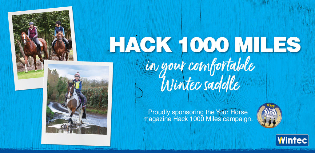 Hack 1000 Miles image